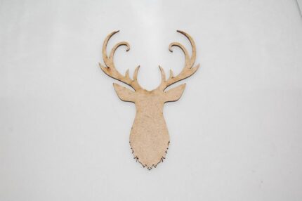 ΤΑΡΑΝΔΟΣ ΠΡΟΤΟΜΗ